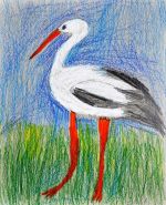 Závodská Lucia.jpg